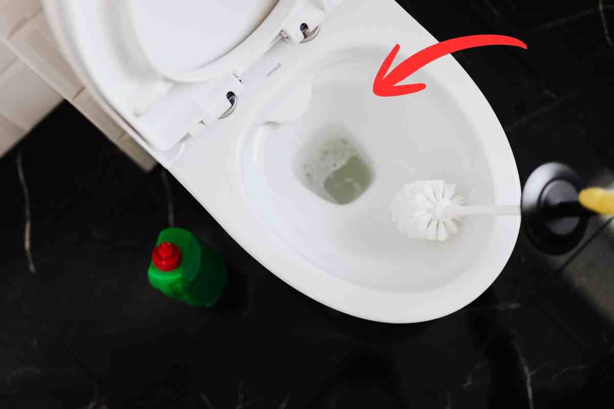 wc da pulire con scopino